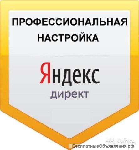 Профессиональное продвижение сайтов Яндекс Директ