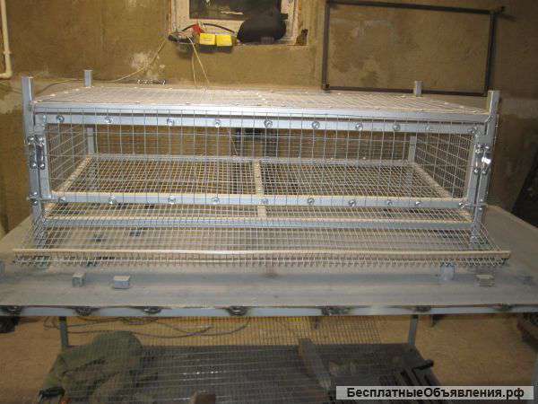 Клетки для перепелов