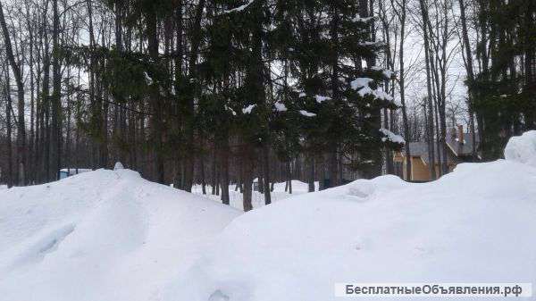 Земельный участок в п. Чесноковка