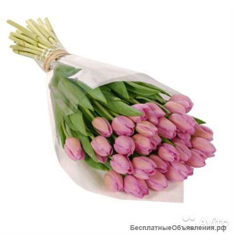 Тюльпаны розовые 50 штук