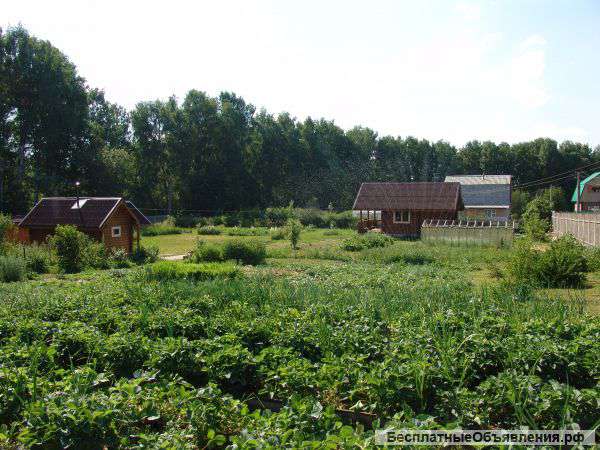 Дача на 24 сотках в хорошем месте