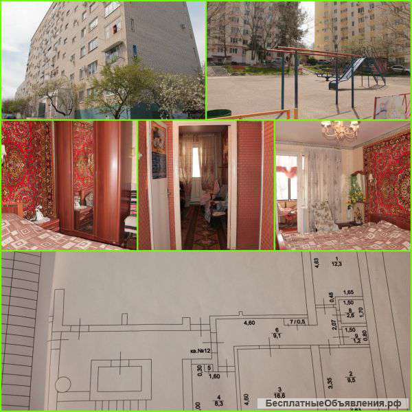 Трехкомнатную квартиру на море