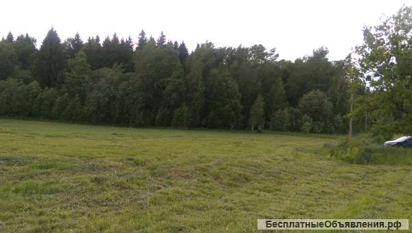 Участок 23 гектара д. Беликово Сергиево-Посадский р-н Московскаяч обл.