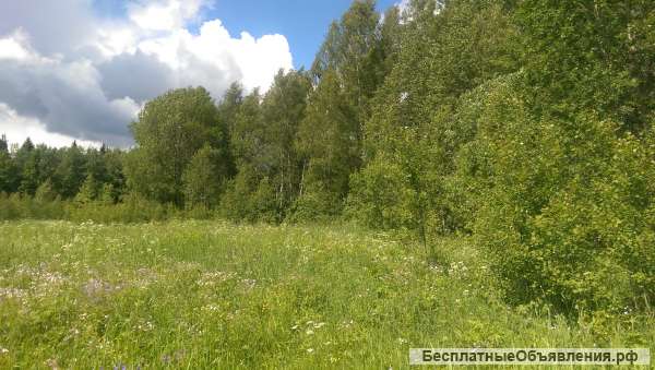 Участок 23 гектара д. Беликово Сергиево-Посадский р-н Московскаяч обл.