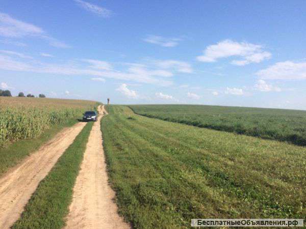 Участок в Воскресенском районе, ДП Аргуново1