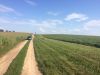Участок в Воскресенском районе, ДП Аргуново1