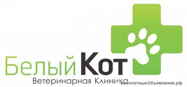 Ветеринарный врач