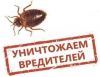 Уничтожение насекомых и грызунов