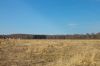 Участок 8 соток, граничащий с хвойным лесом, ИЖС, 12 км от МКАД.