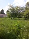 Участок 50 соток