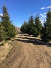 Земельный участок