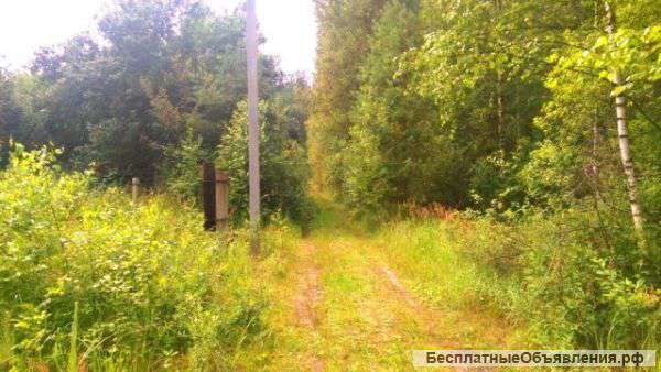 Участок 6 соток СНТ "ЛЕСНОЕ"