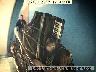 Ищу работу грузчиком.