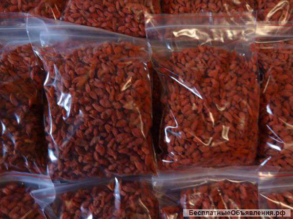 Ягода Годжи