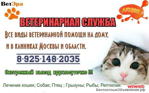Ветеринарная служба на дому и в клиниках