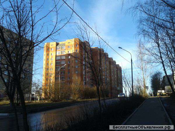 Квартиры