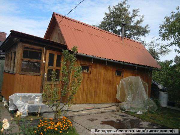 Почищу и Покрашу крышу