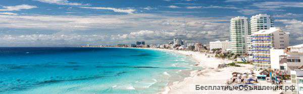 Международный Визовый Центр