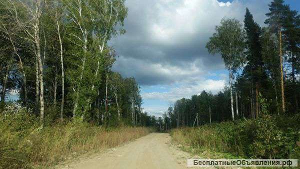 Земельный участок в с.Перевалово