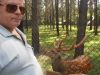 Косметический ремонт