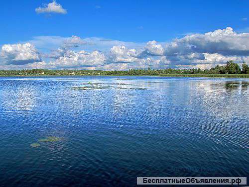 Земельного Участка