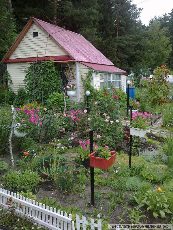 Дачный участок