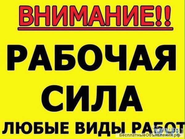 VIP Грузчики, разнорабочие, специалисты