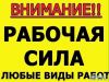 VIP Грузчики, разнорабочие, специалисты
