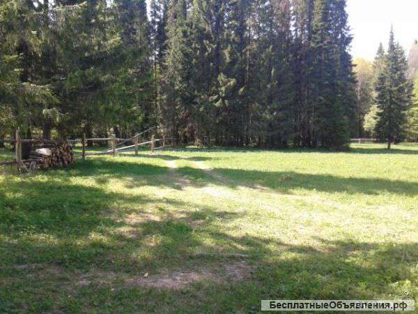 Земельный участок