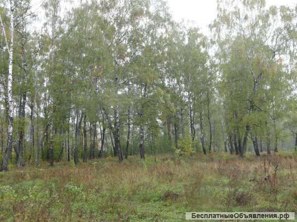 Земельный участок д. малахово