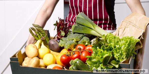 Производство и доставка здоровой еды