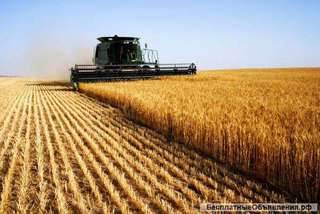 Сельхоз предприятие в Краснодарском крае 3900 Га