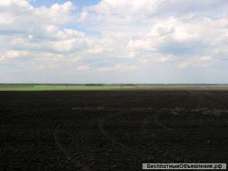 Земельный участок 5300 Га