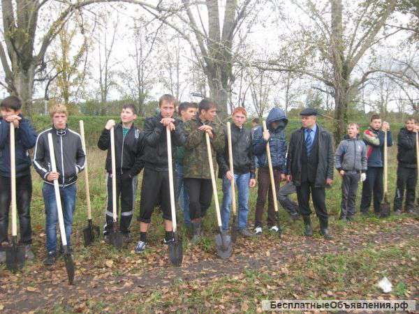 Спил деревьев, вывоз мусора, покос травы, копка земли