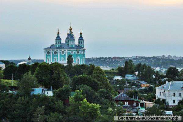 Экскурсовод