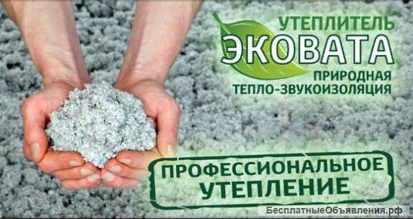 Эковата утепление