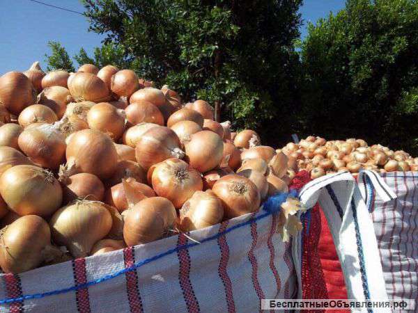 Картофель Египет, лук репчатый