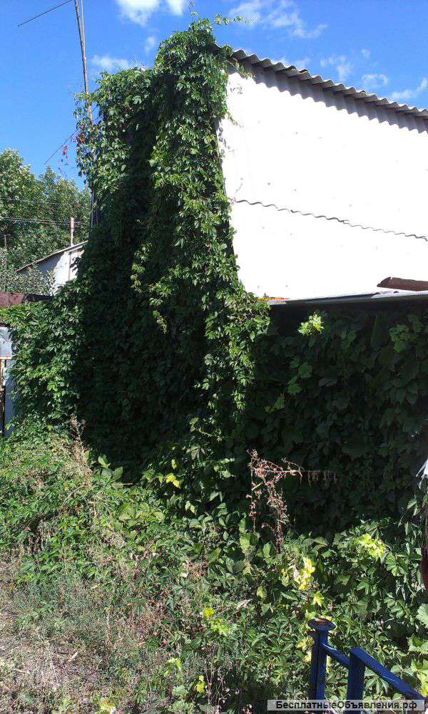 Дача 2-х этажная, 27-й км Нежинского шоссе