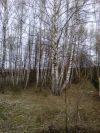 Участок 20 соток в д.Поповка.