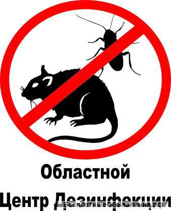 Уничтожение клопов в Подольске