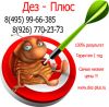 Уничтожение клопов Люберцы Служба по уничтожению клопов Люберцы