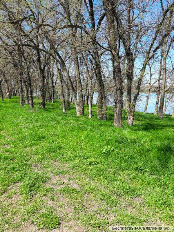 Участок на берегу водохранилища