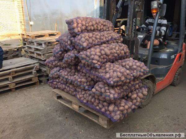 Картофель оптом от производителя со склада в Красноярске