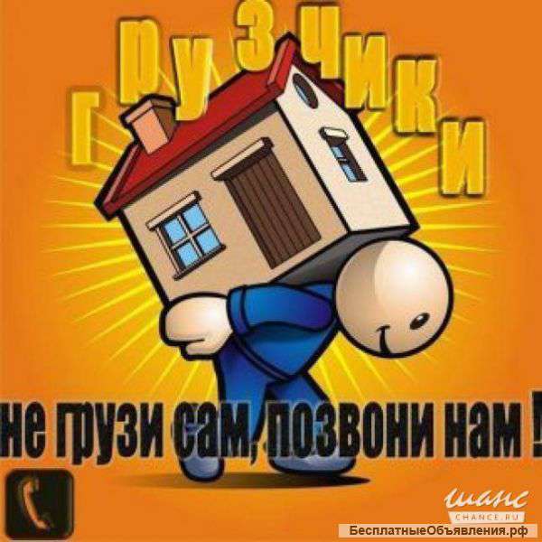 Услуги по перевозкам