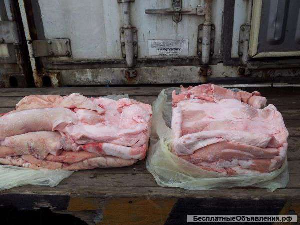 Шпик на шкуре оптом