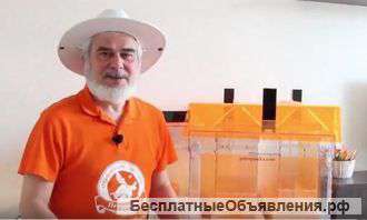 Прозрачный улей