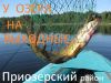 Дом у Красного озера, Приозерский район