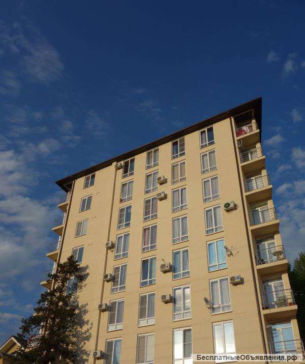 Известия, Адлер 1-к студия 24 м2