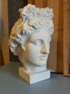 Голова Аполлона Бельведерского гипс