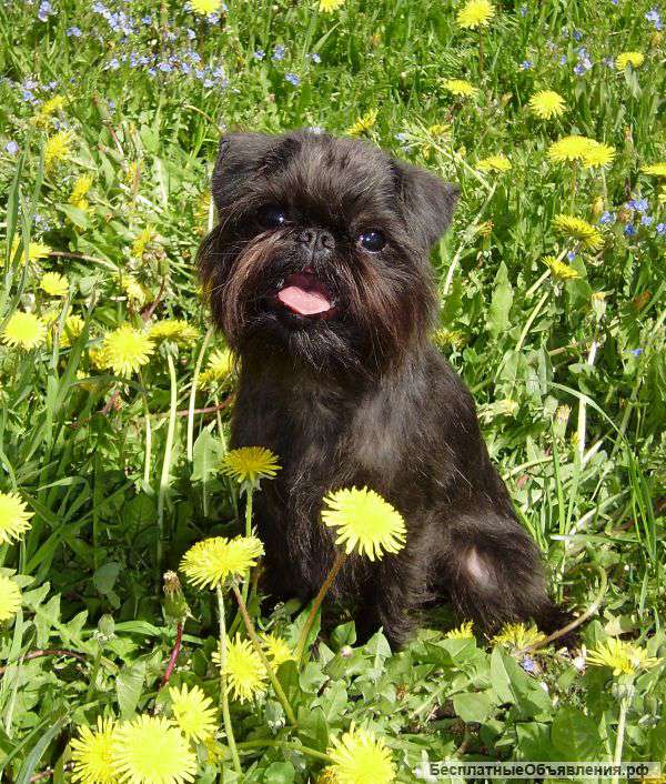 Позитив в семье